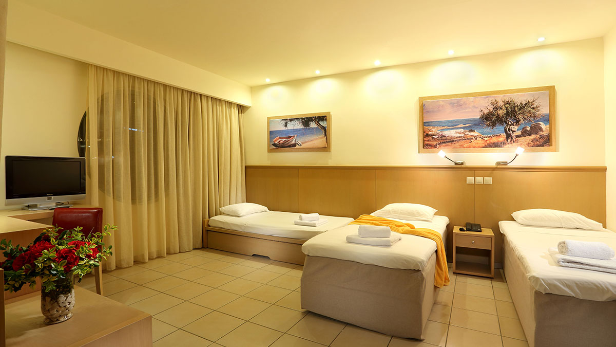Twin / Double Room